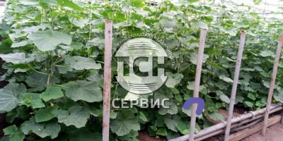 Фото часть 7