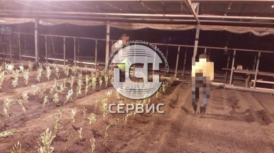 Фото часть 1