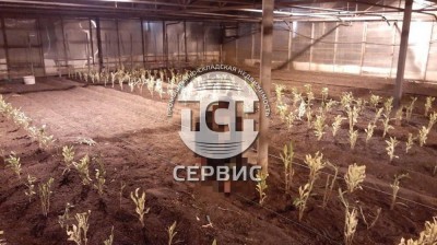 Фото часть 4