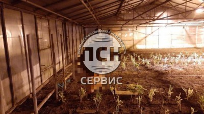 Фото часть 5