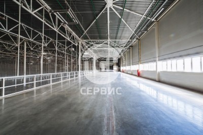Фото часть 5