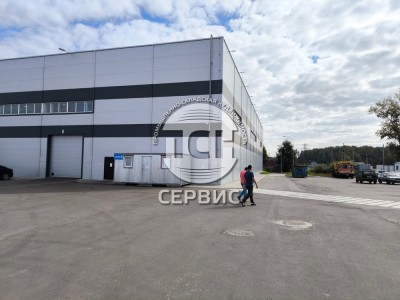 Фото часть 7