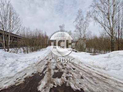 Фото часть 12