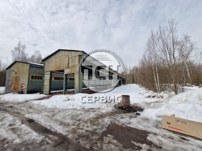 Фото часть 13