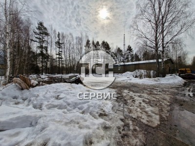 Фото часть 15
