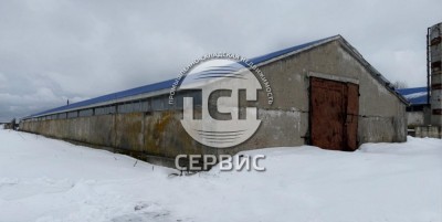 Фото часть 11