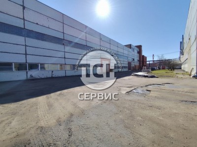 Фото часть 12