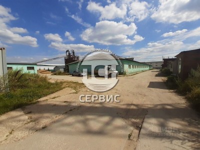 Фото часть 6