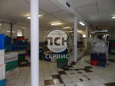 Фото часть 8