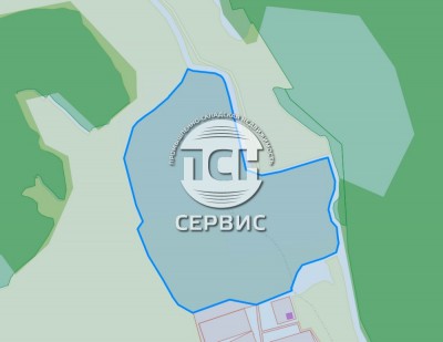 Фото часть 8