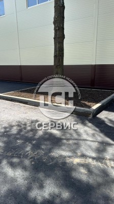 Фото часть 8