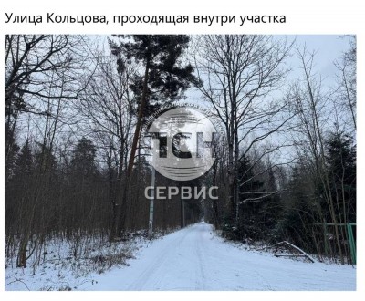Фото часть 3