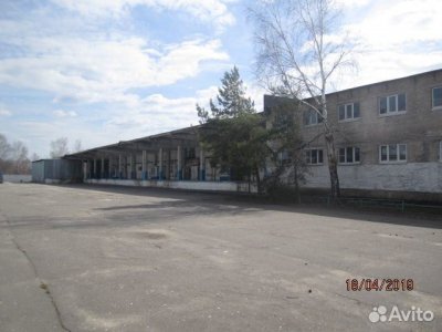 Фото часть 5