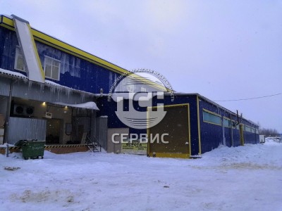 Фото часть 5